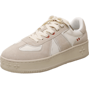 DARSII AIR 3.0